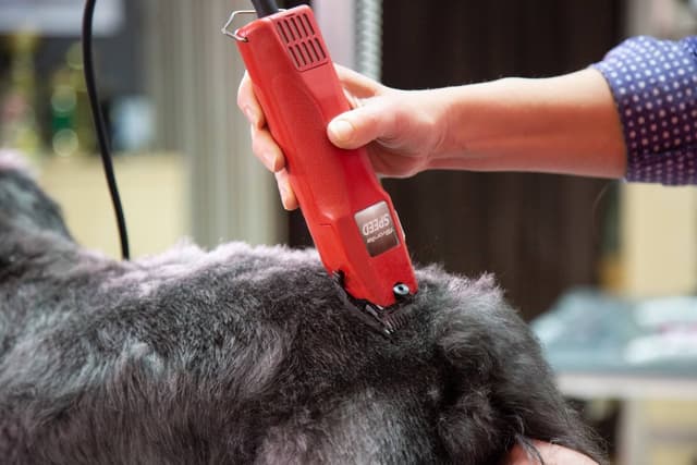 Maszynka do strzyżenia Favorita Speed dla małych zwierząt