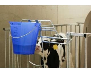 Wiadro do pojenia cieląt, "Food Safe", ze skalą, 8 l, transparentne, niebieskie, Kerbl