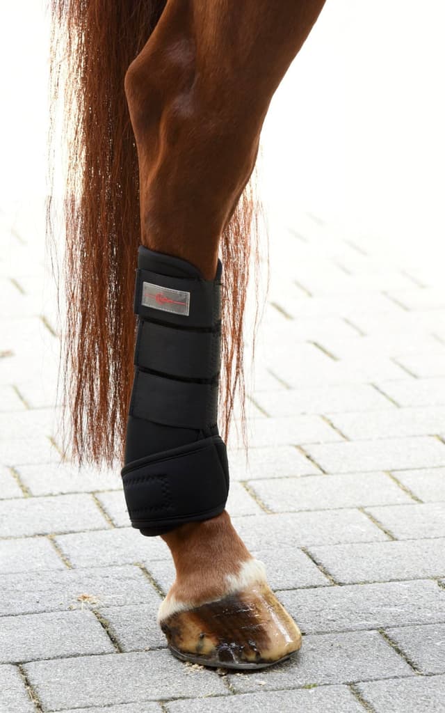 Ochraniacze neoprenowe dla konia, roz. Cob, Covalliero
