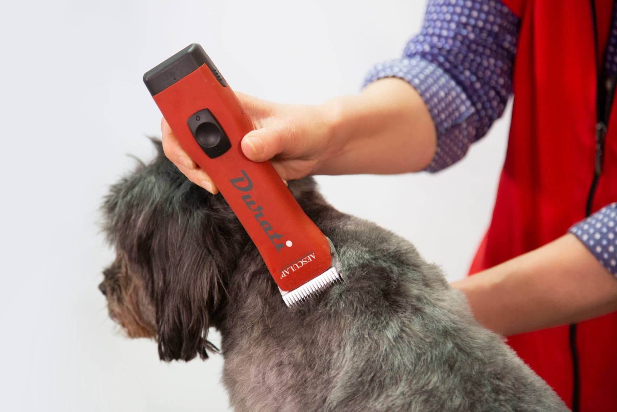 Maszynka do strzyżenia małych zwierząt Durati, 2 akumulatory, czerwony, Aesculap