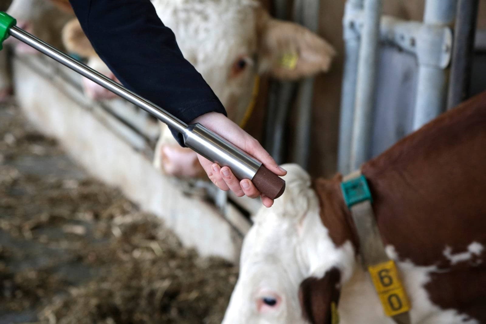 Bolus dla krów Fertilgol 8x95g, Agrochemica