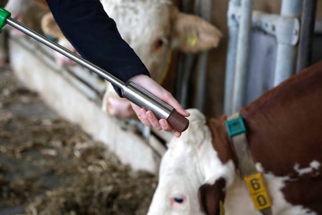 Bolus dla krów Fertilgol 8x95g, Agrochemica