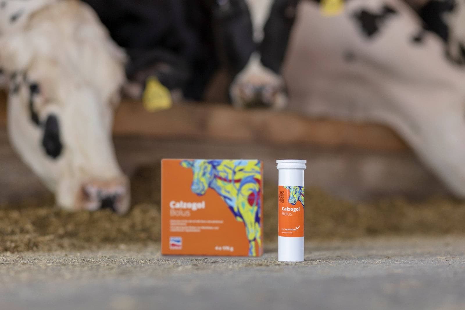 Bolus wapniowy Calzogol Bolus 4 x 175 g Agrochemica