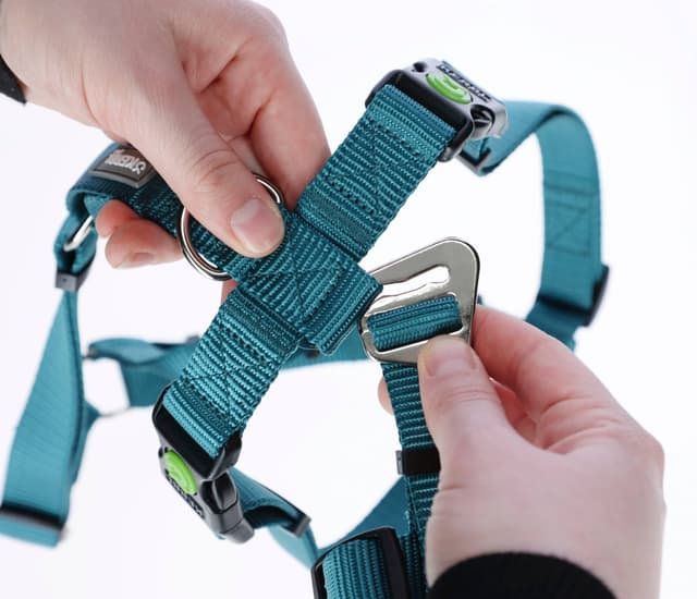 Szelki antyucieczkowe dla psa Miami 15 mm 38-52 cm turkusowe