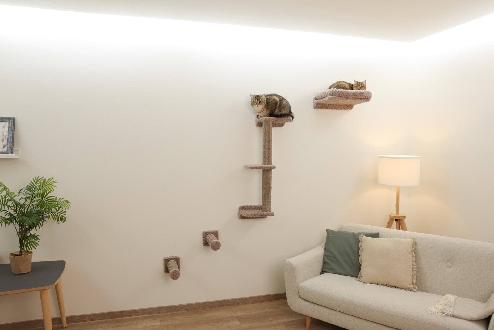 Ścianka wspinaczkowa dla kota Monte Alpi, 4-częściowa