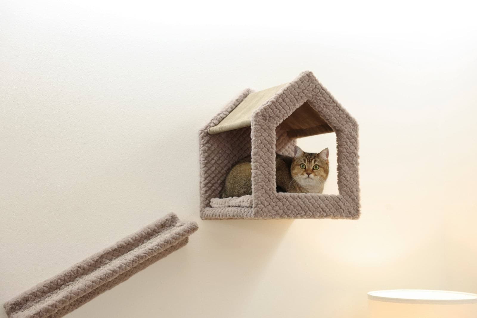 Ścianka wspinaczkowa dla kota Monte Baldo, Kerbl