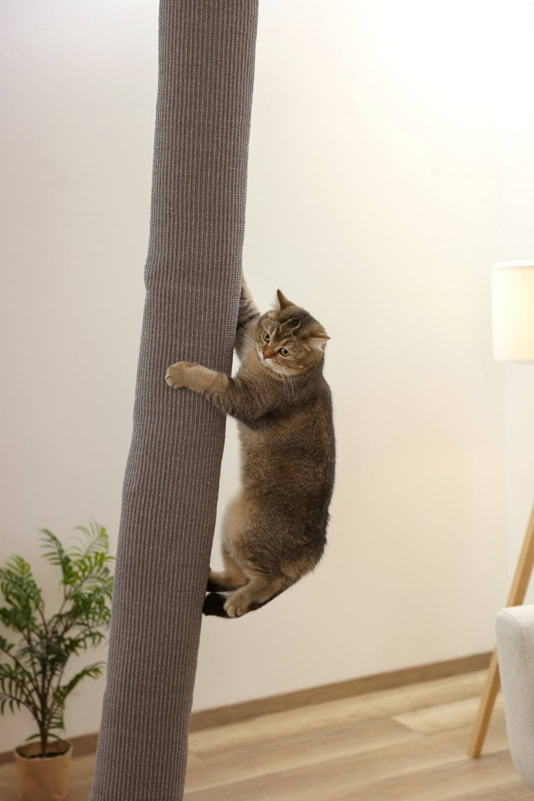 Zabawka wspinaczkowa Climber dla kotów, szary - Kerbl