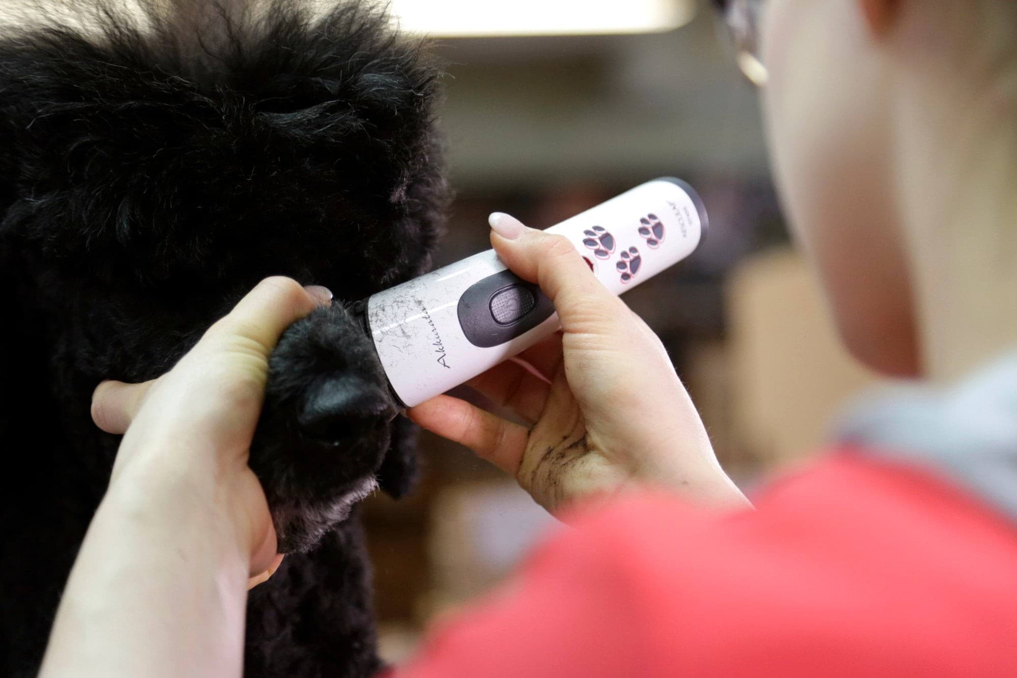 Maszynka do strzyżenia małych zwierząt Akkurata