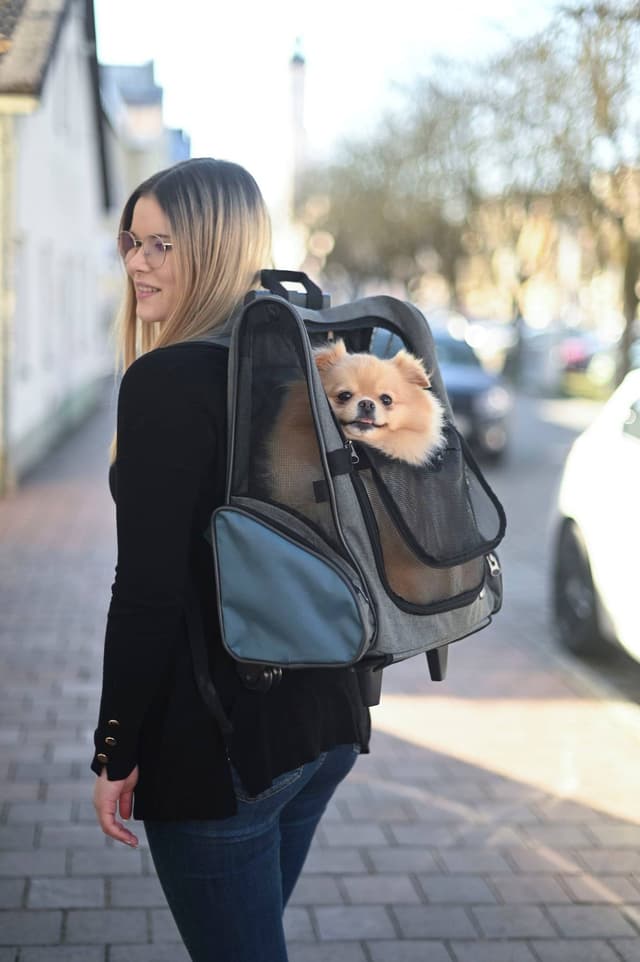 Torba podróżna na kółkach Vacation dla psa Kerbl