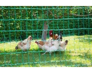 Siatka nieelektryczna dla drobiu, 25 m, zielona, Kerbl