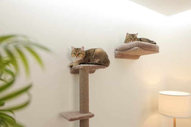 Ścianka wspinaczkowa dla kota Monte Alpi, 4-częściowa