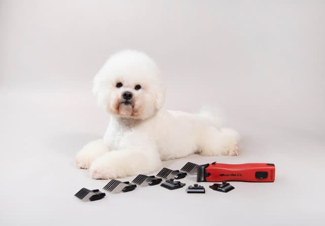 Maszynka do strzyżenia Favorita CL dla małych zwierząt