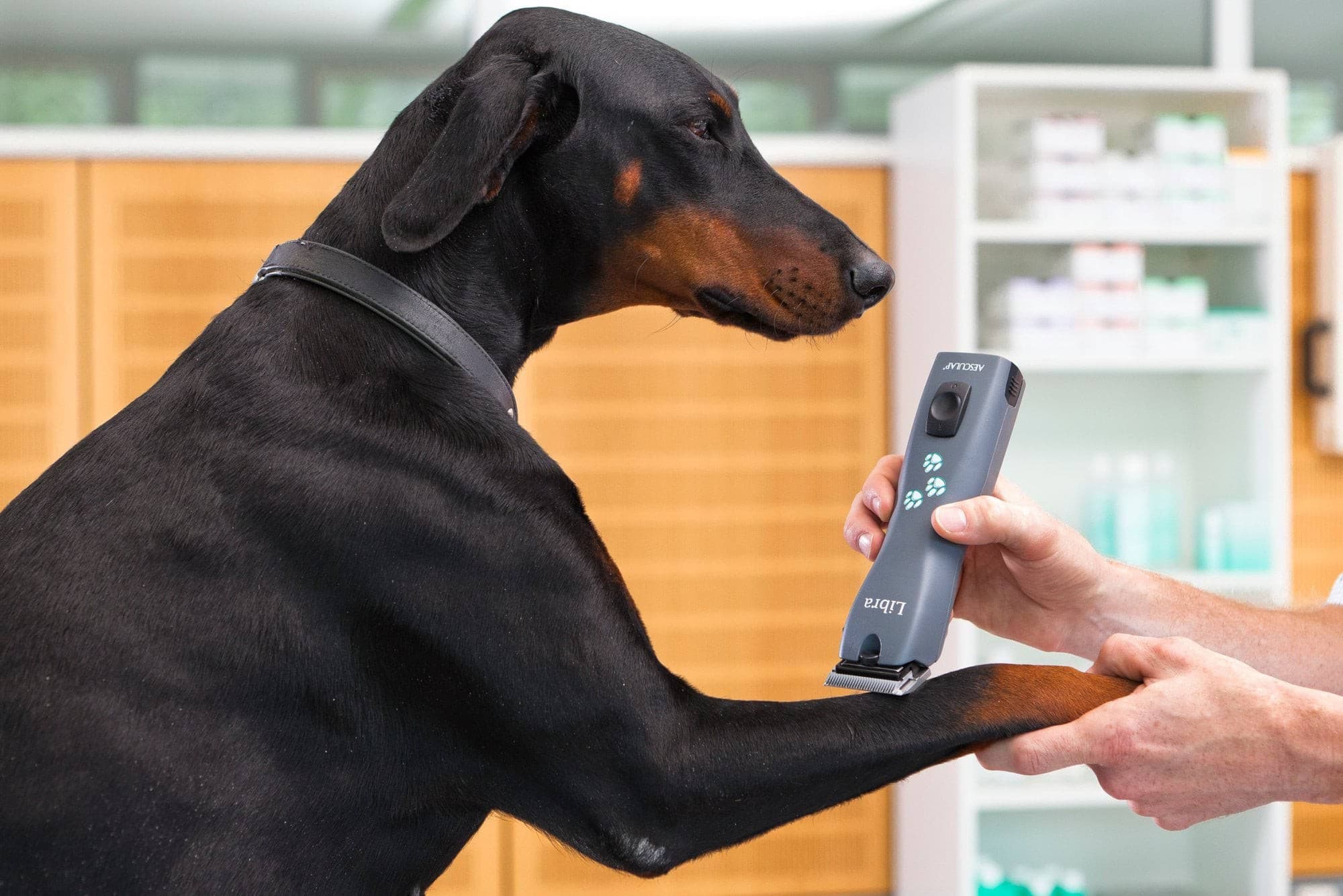 Maszynka do strzyżenia weterynaryjna Libra 2 akumulatory szary Aesculap