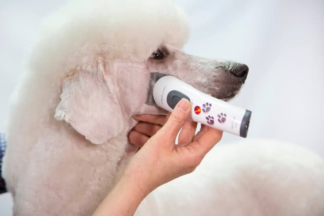 Maszynka do strzyżenia małych zwierząt Akkurata