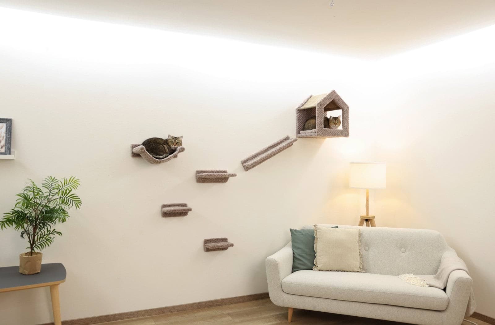 Ścianka wspinaczkowa dla kota Monte Baldo, Kerbl