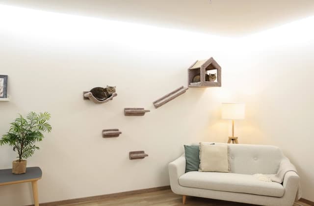 Ścianka wspinaczkowa dla kota Monte Baldo, Kerbl