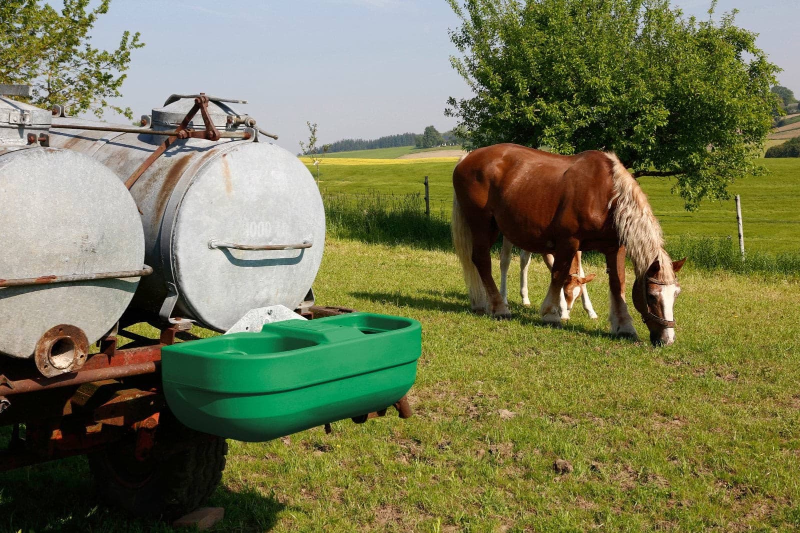 Podwójne poidło dla bydła Kerbl S60 58L z tworzywa