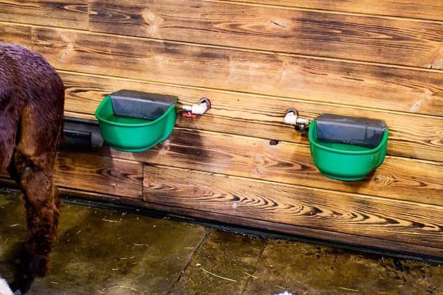 Poidło podgrzewane z zaworem pływakowym SH30, 24 V/73 W, z dodatkowym kablem grzewczym, Kerbl