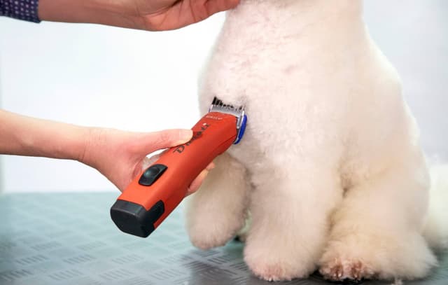 Maszynka do strzyżenia małych zwierząt Durati, 2 akumulatory, czerwony, Aesculap