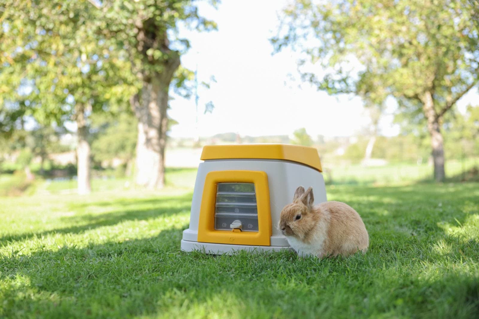 Królicza norka Bunny Base, zestaw kompletny 58x38,5x55 cm