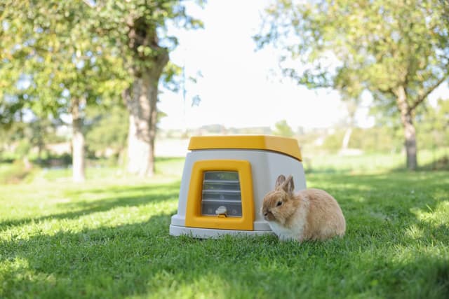 Królicza norka Bunny Base, zestaw kompletny 58x38,5x55 cm