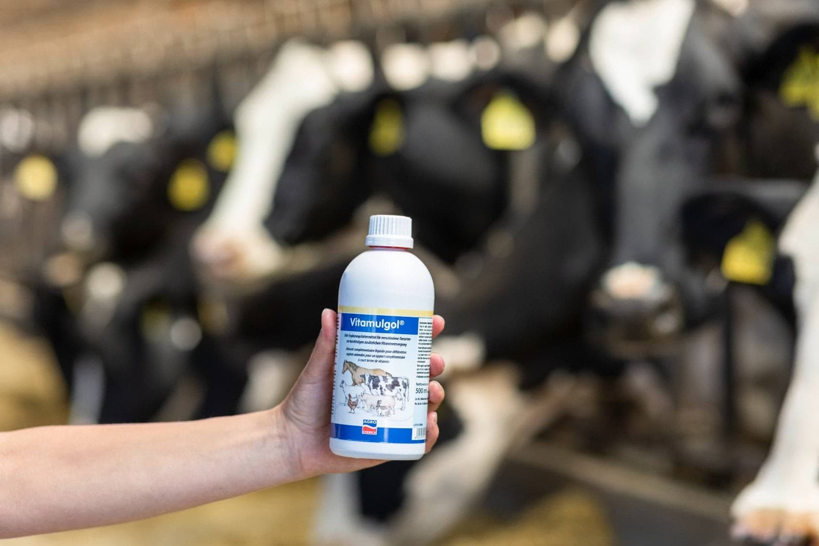 Vitamulgol® 500 ml preparat uzupełniający witaminy dla zwierząt