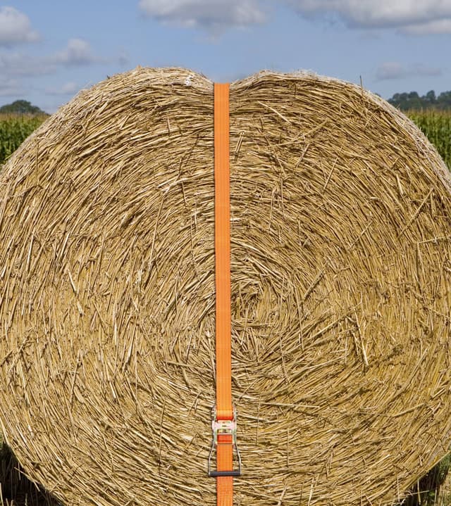 Pas transportowy 12m x 50mm z napinaczem 4000 kg pomarańczowy Kerbl