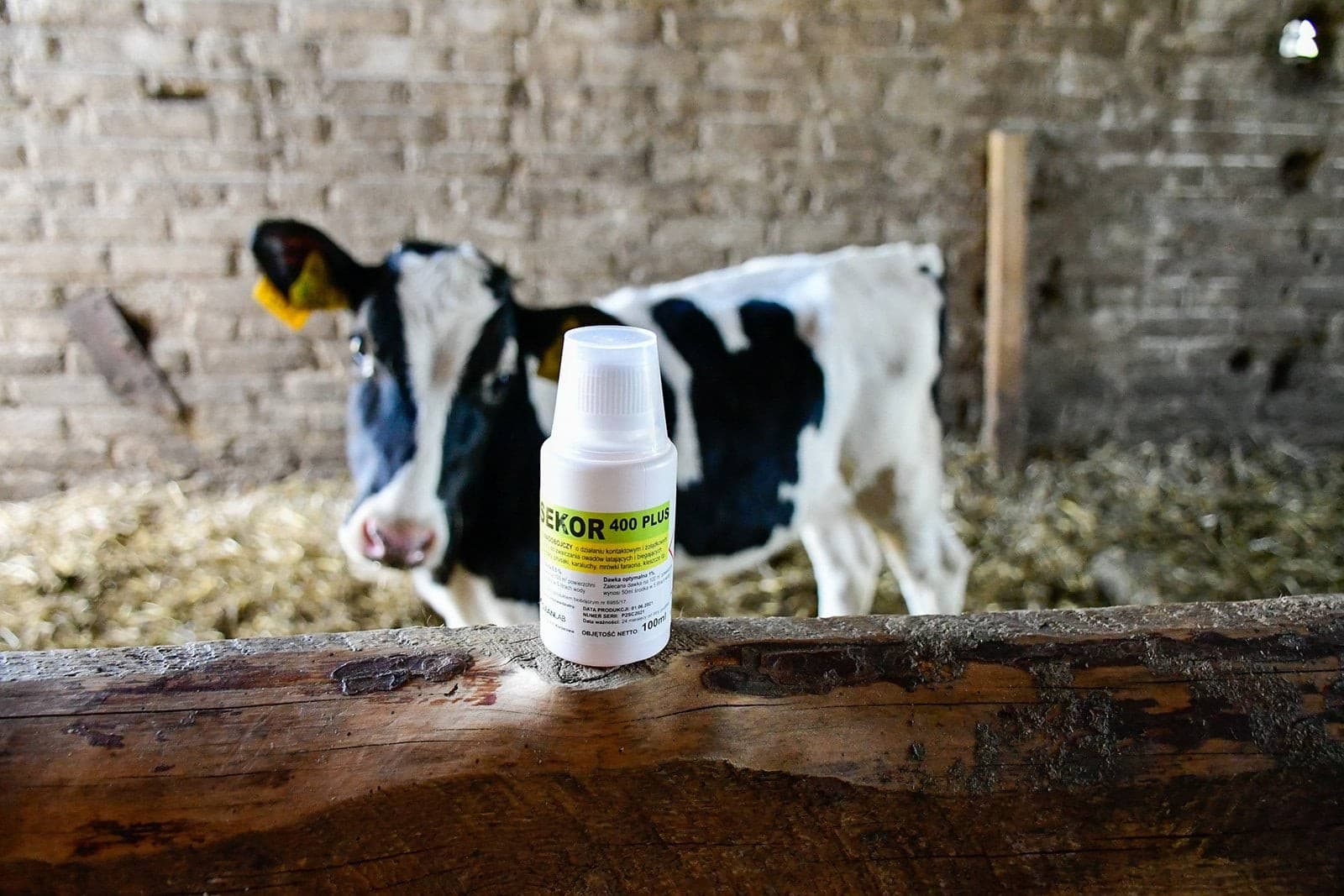 Środek owadobójczy ASEKOR 400 Plus, koncentrat 100 ml