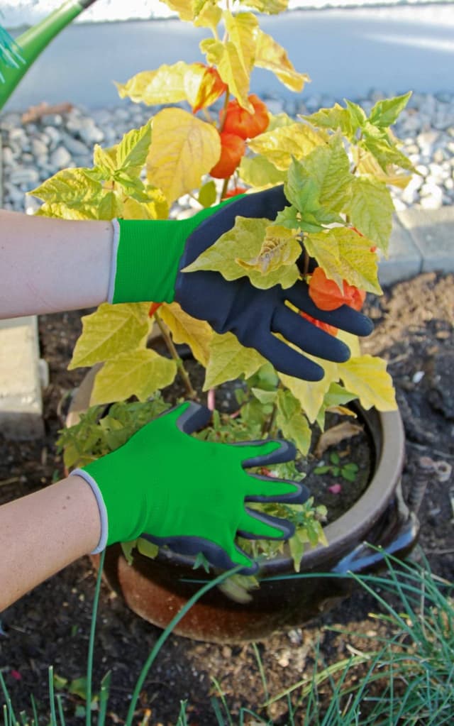 Rękawice robocze SmoothGrip zielone lateks rozmiar 10 Kerbl