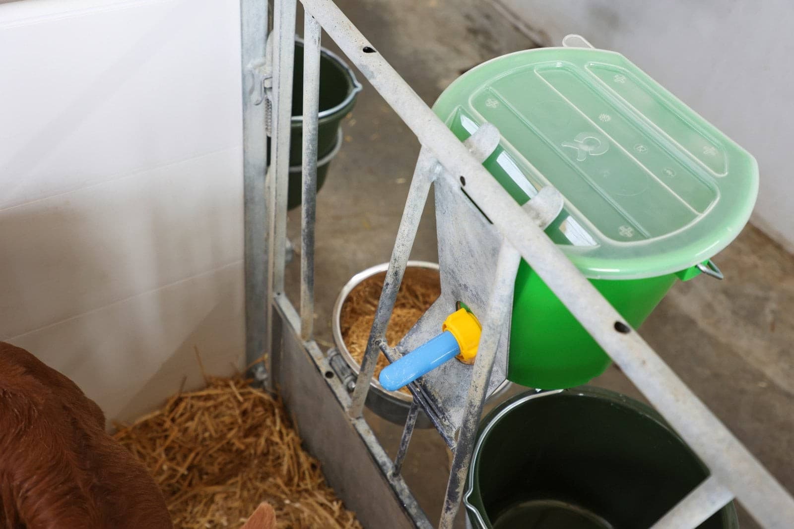 Smoczek antybakteryjny Kerbl do wiadra pojenia cieląt 100 mm niebieski 10 szt.