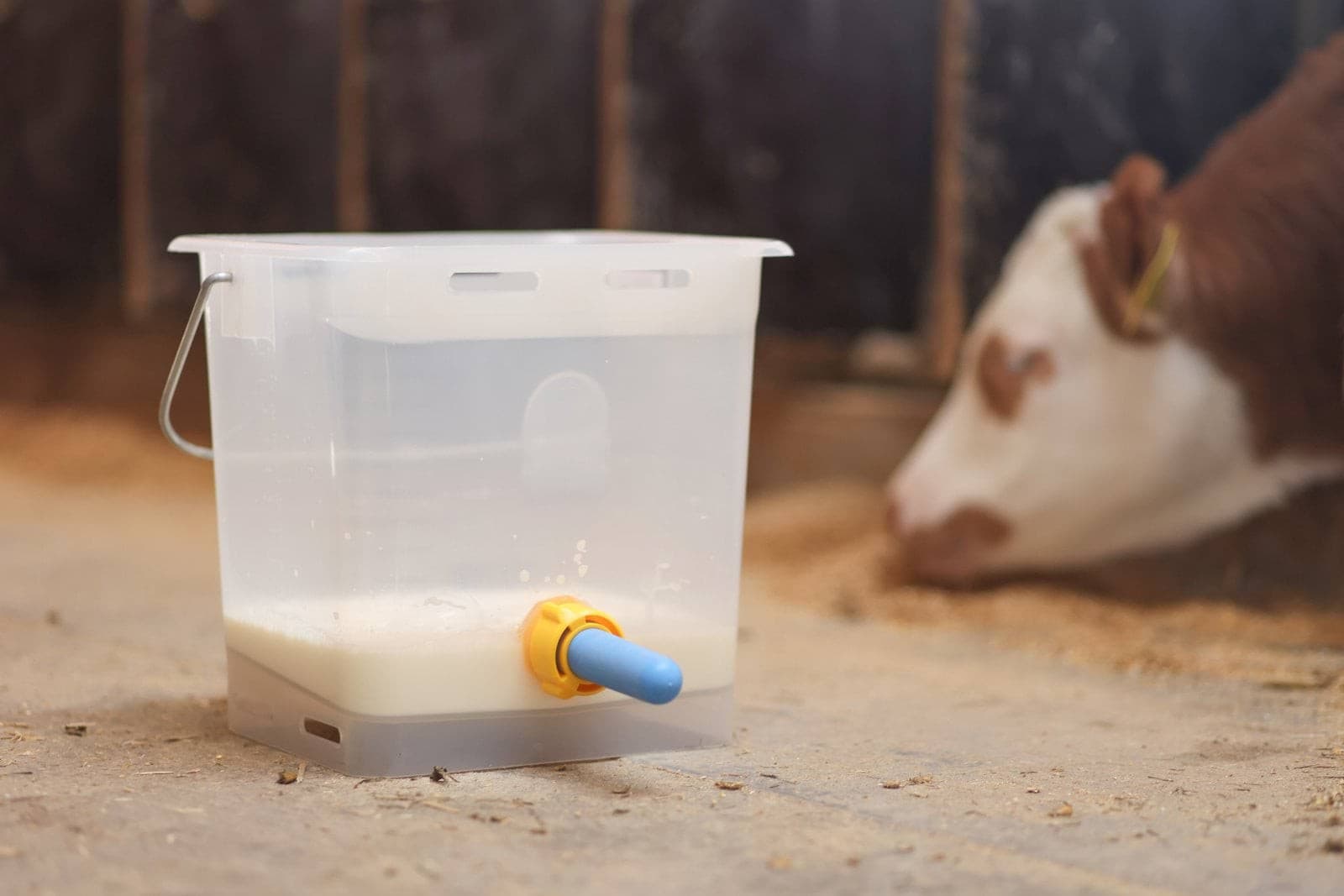 Smoczek antybakteryjny Kerbl do wiadra pojenia cieląt 100 mm niebieski 10 szt.