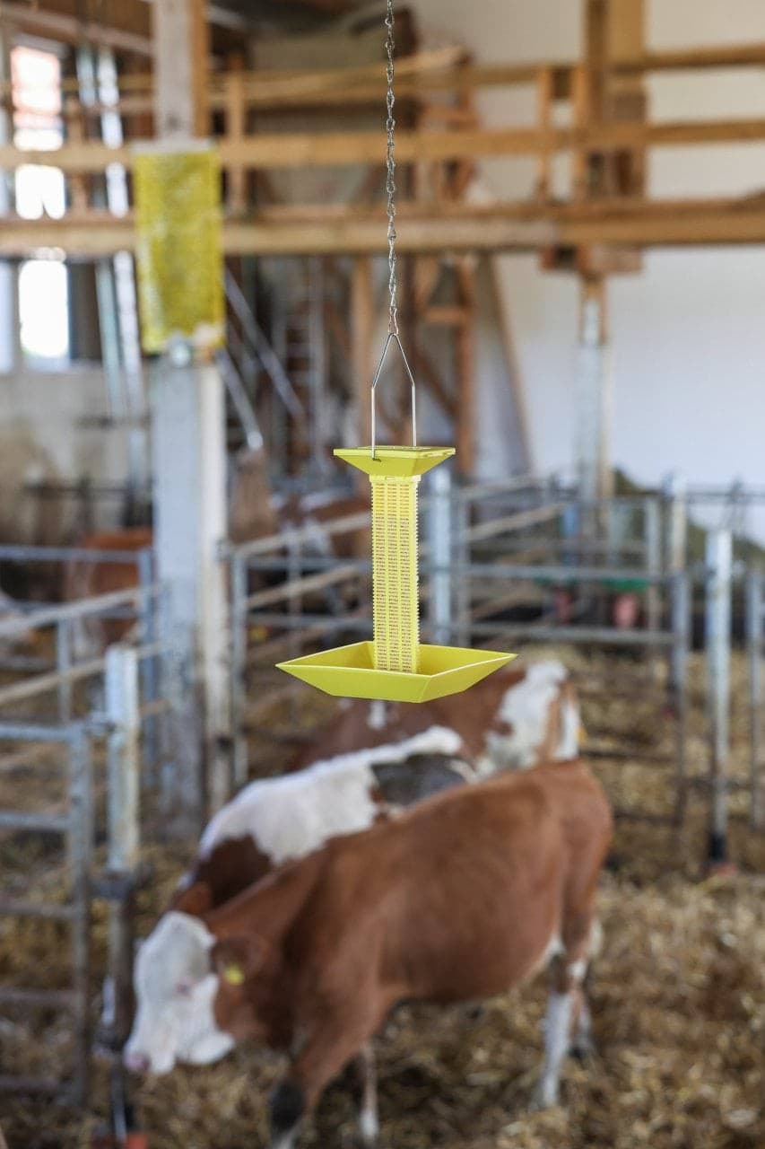 Stacja dezynsekcyjna na trutkę pokarmową na muchy, wisząca/stojąca Kerbl