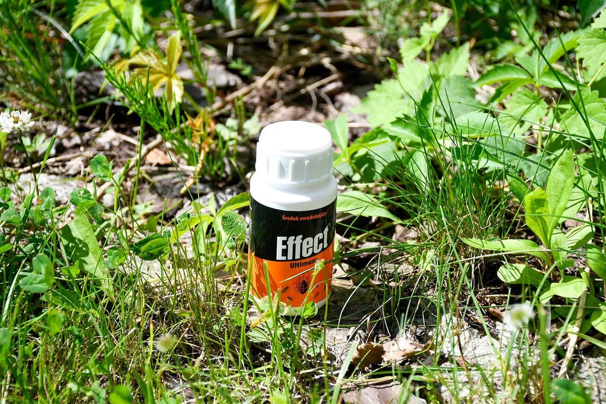 Effect Ultimum środek owadobójczy koncentrat 100 ml na owady biegające i latające