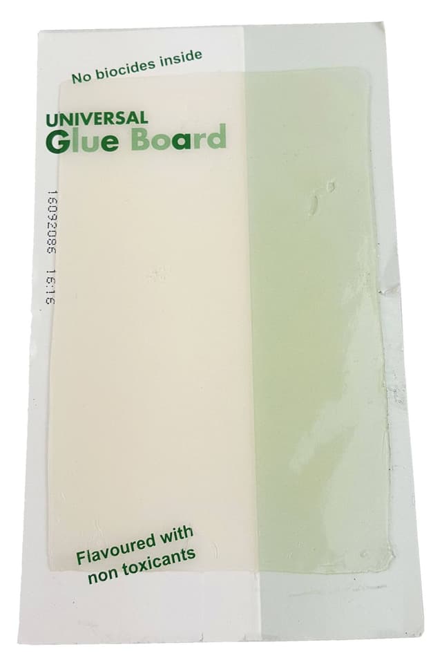 Arkusz klejowy do stacji deratyzacyjnej 157x95 mm na myszy i szczury