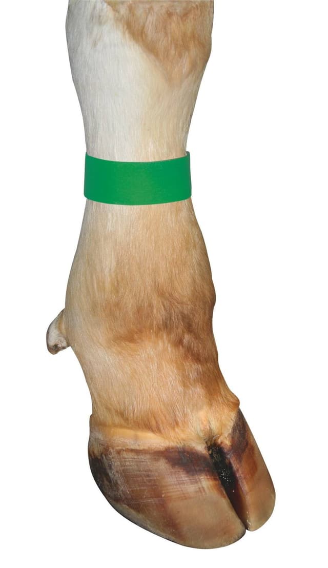 Opaska identyfikacyjna tekstylna 36 cm na rzep zielona 10 szt. Kerbl