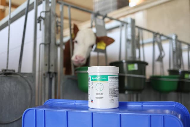 Agrolyt preparat stabilizujący równowagę wodno-elektrolitową dla cieląt i prosiąt 1 kg