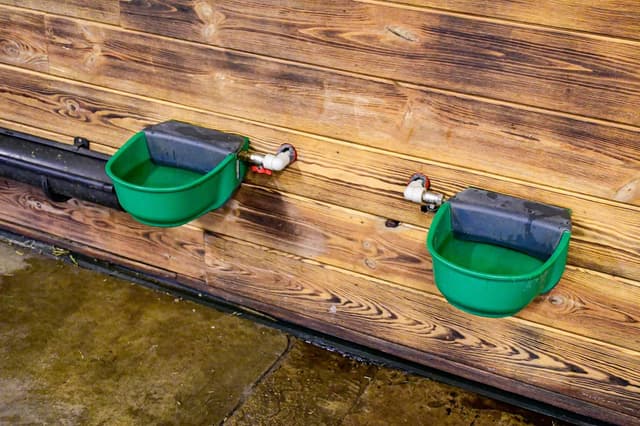 Poidło podgrzewane z zaworem pływakowym SH30, 24 V/73 W, z dodatkowym kablem grzewczym, Kerbl