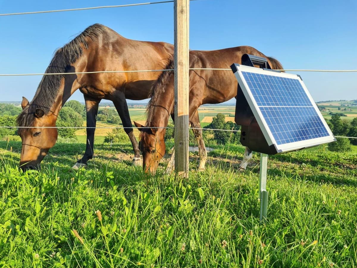 Elektryzator solarny TITAN S 4200, 4.2 J, dla zwierząt, Kerbl