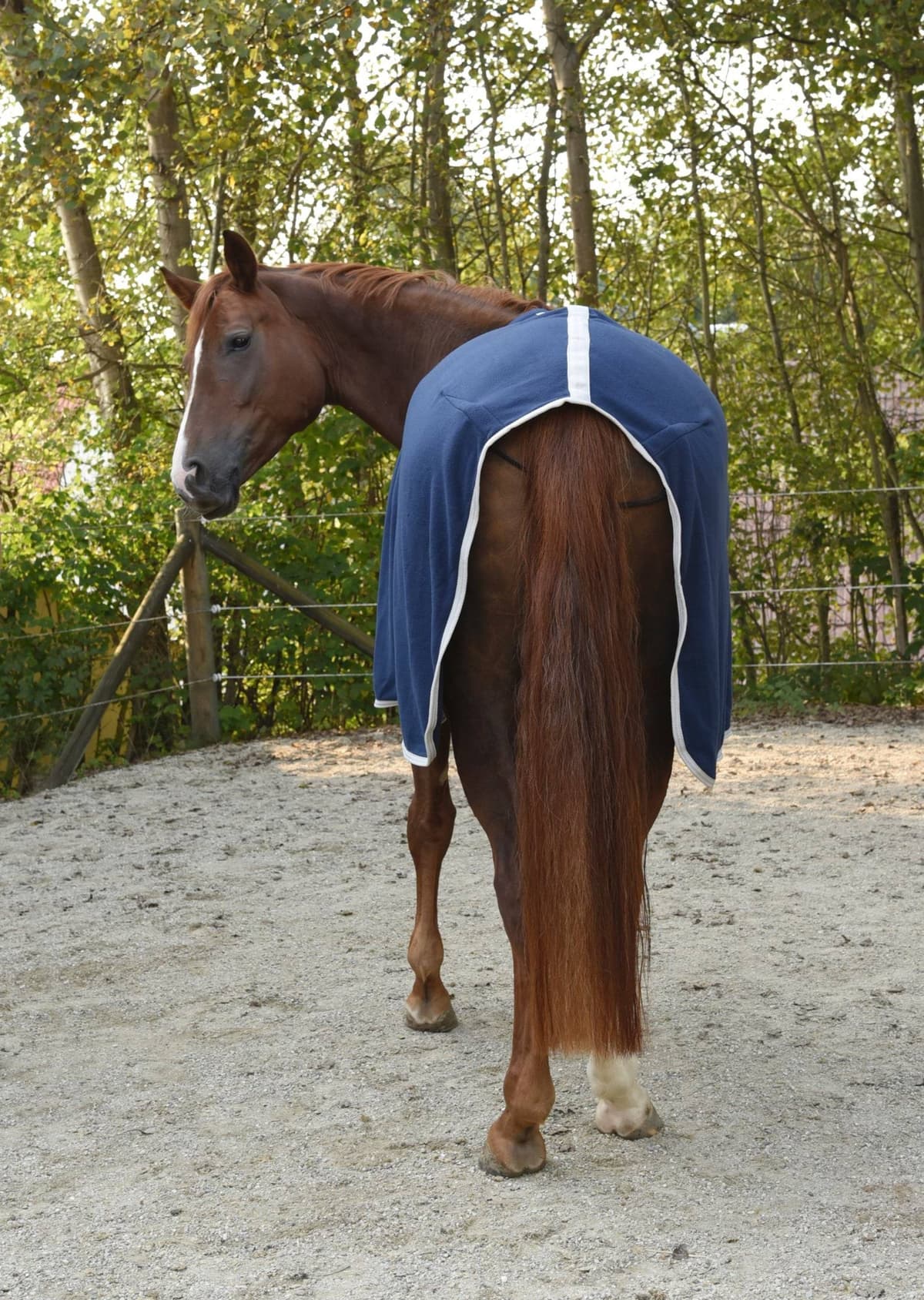 Derka polarowa dla konia RugBe Economic, granatowy, 165 cm, Covalliero