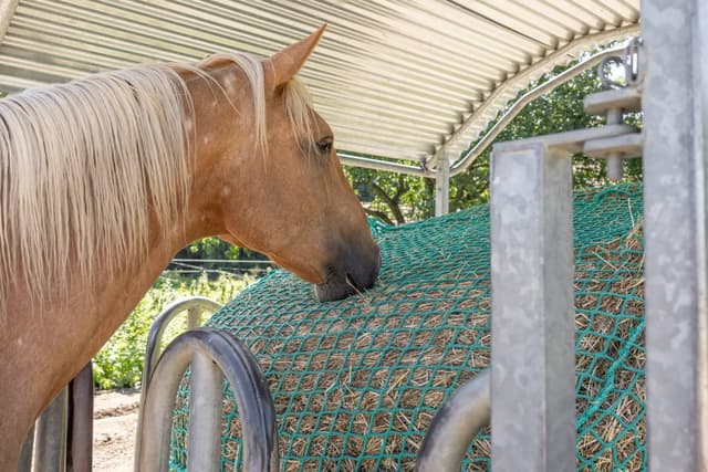 Siatka na siano do bel, Kerbl 125x160 cm, zielona