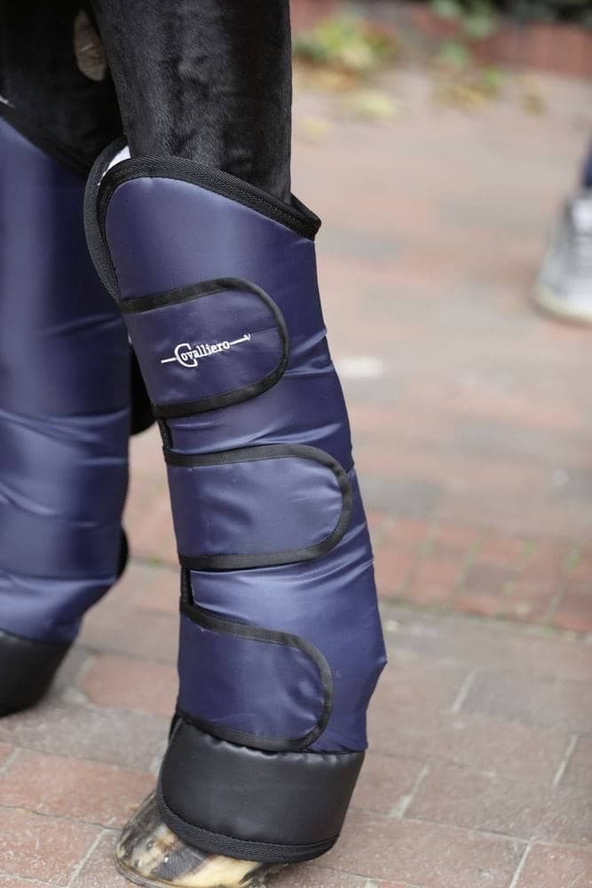 Ochraniacze transportowe dla konia Covalliero, rozmiar XFull