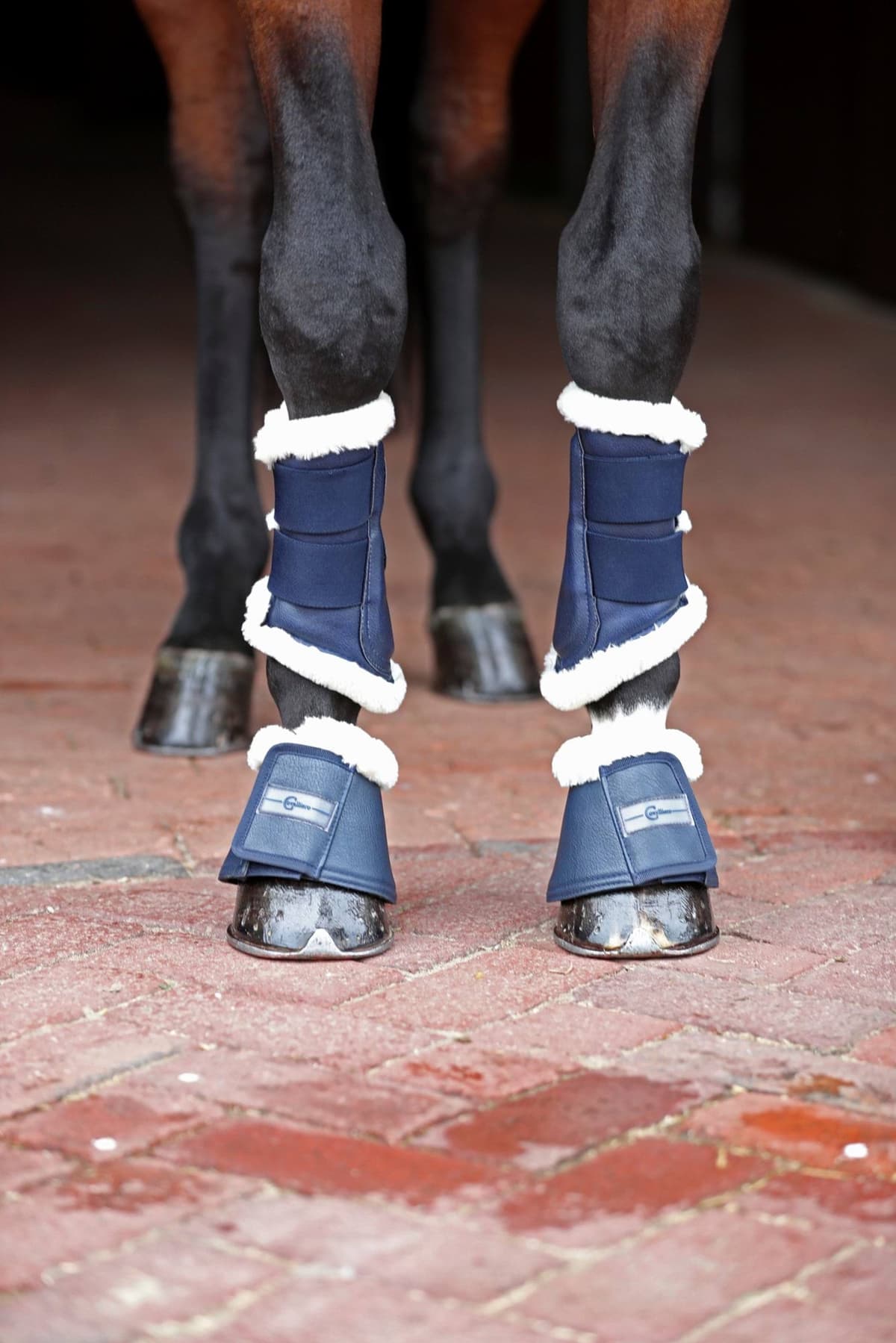 Kaloszki dla konia Pelisa, granatowy, roz. Pony, Covalliero