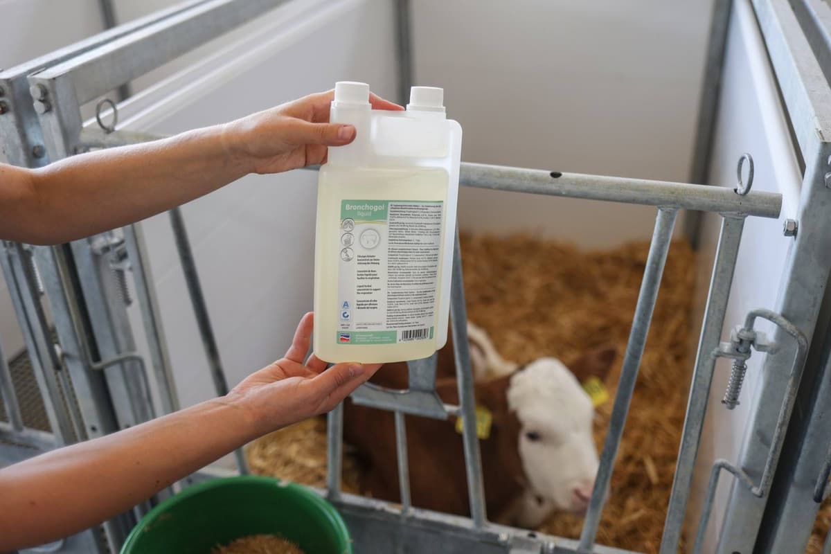 Bronchogol – Preparat dla Cieląt, 1000 ml