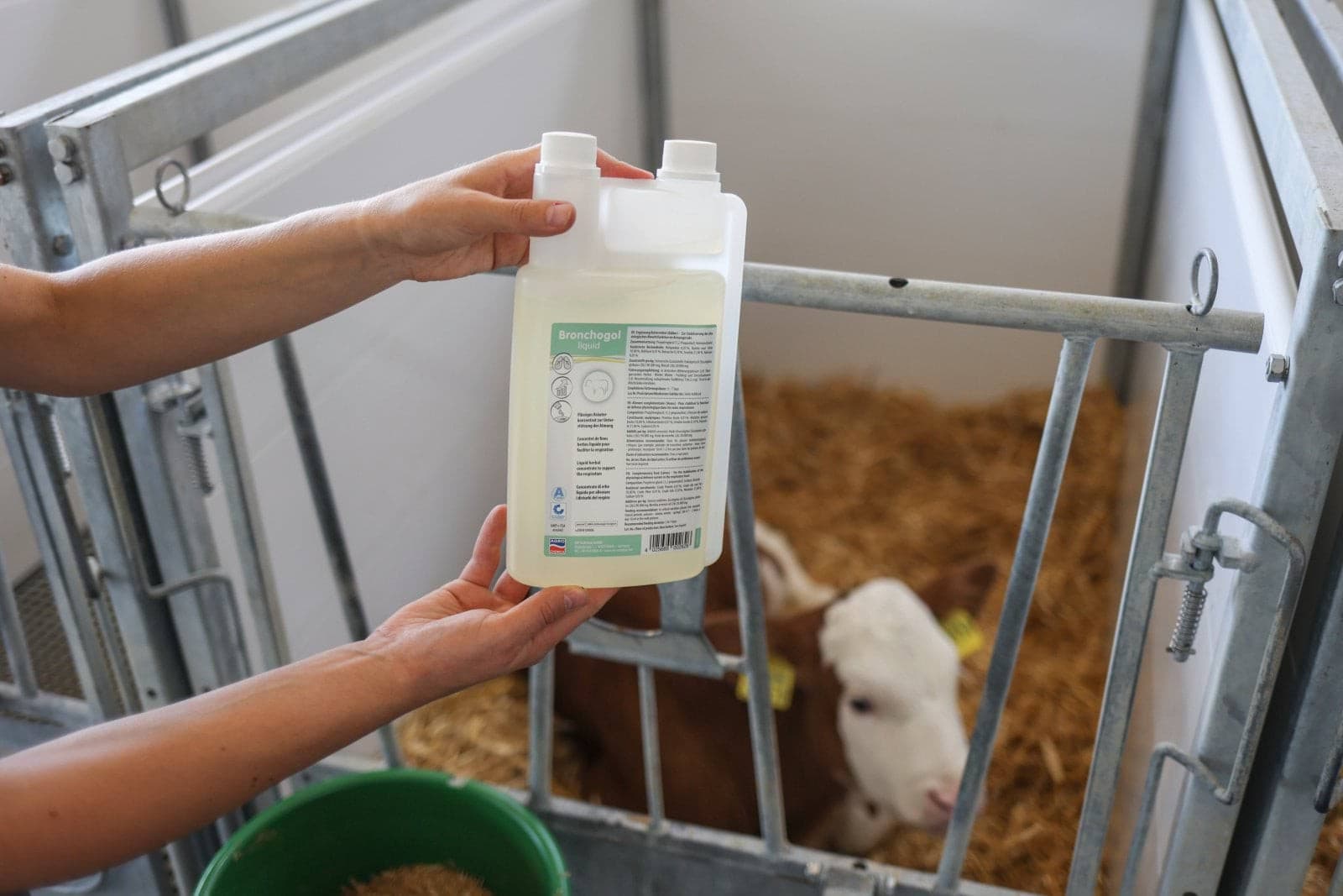 Bronchogol – Preparat dla Cieląt, 1000 ml