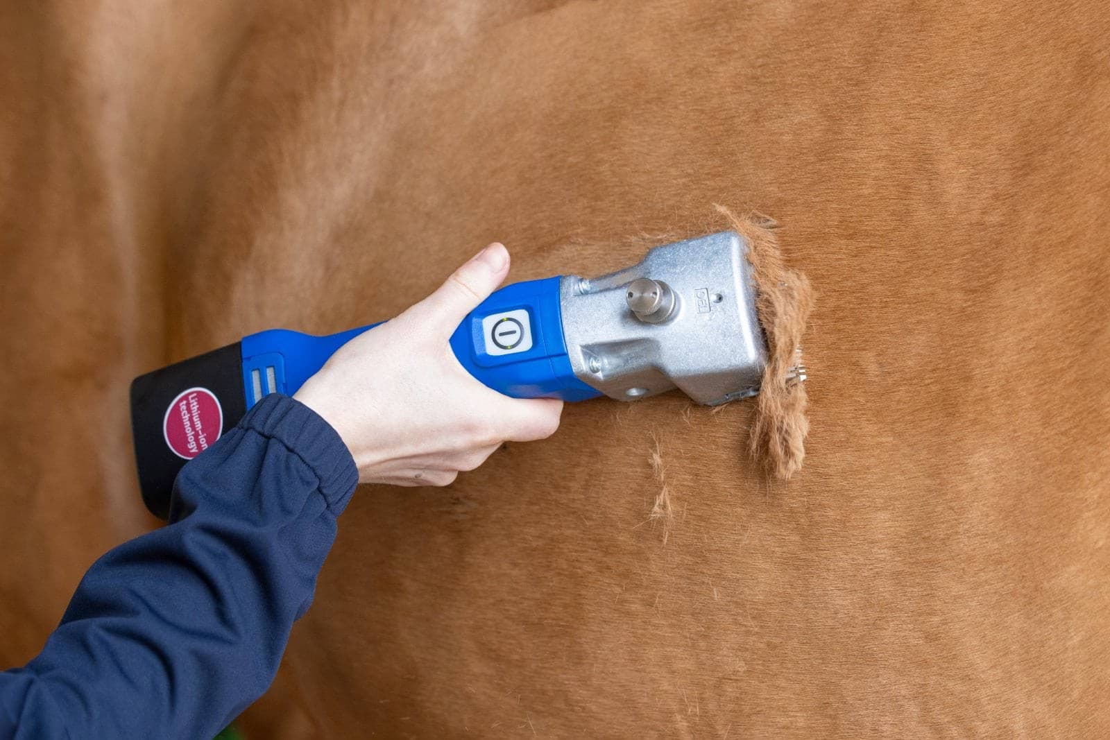 Maszynka do strzyżenia koni i bydła Econom CL, niebieska