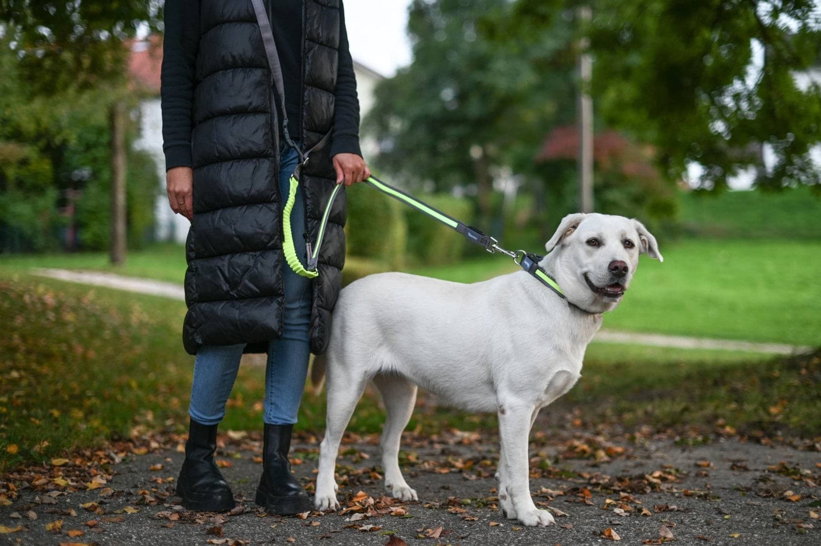 Smycz podświetlana dla psa Light & Reflex do biegania, 250 cm x 25 mm, żółta, Kerbl