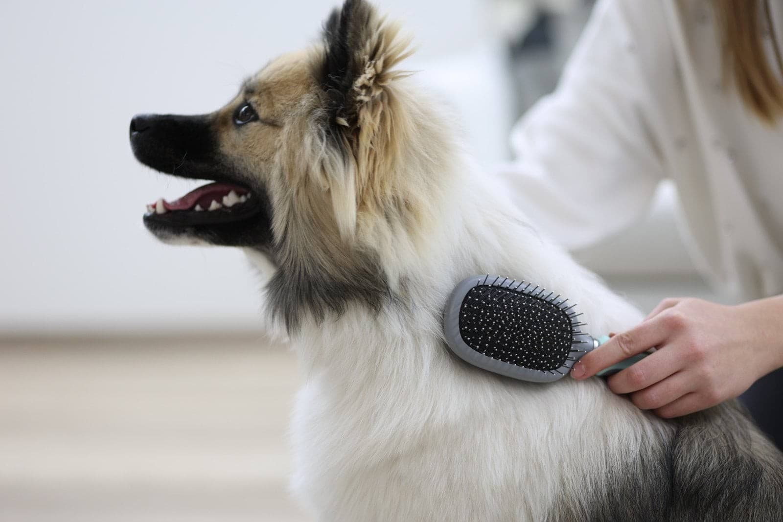 Szczotka z miękkim włosiem 24 cm, Kerbl