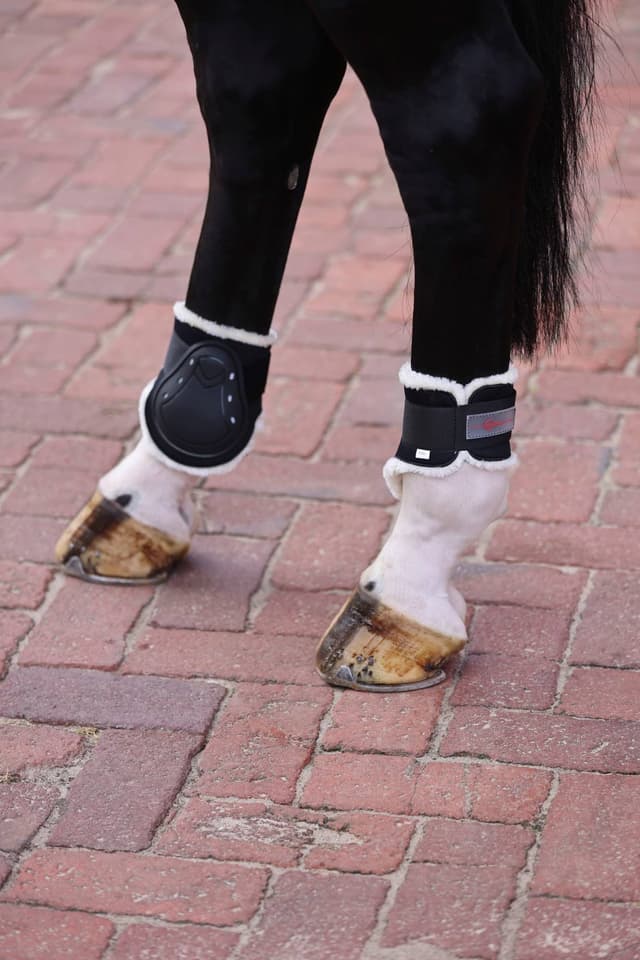 Ochraniacze dla konia TecAir, ze sztucznym futrem, tyły, roz. Cob, Covalliero