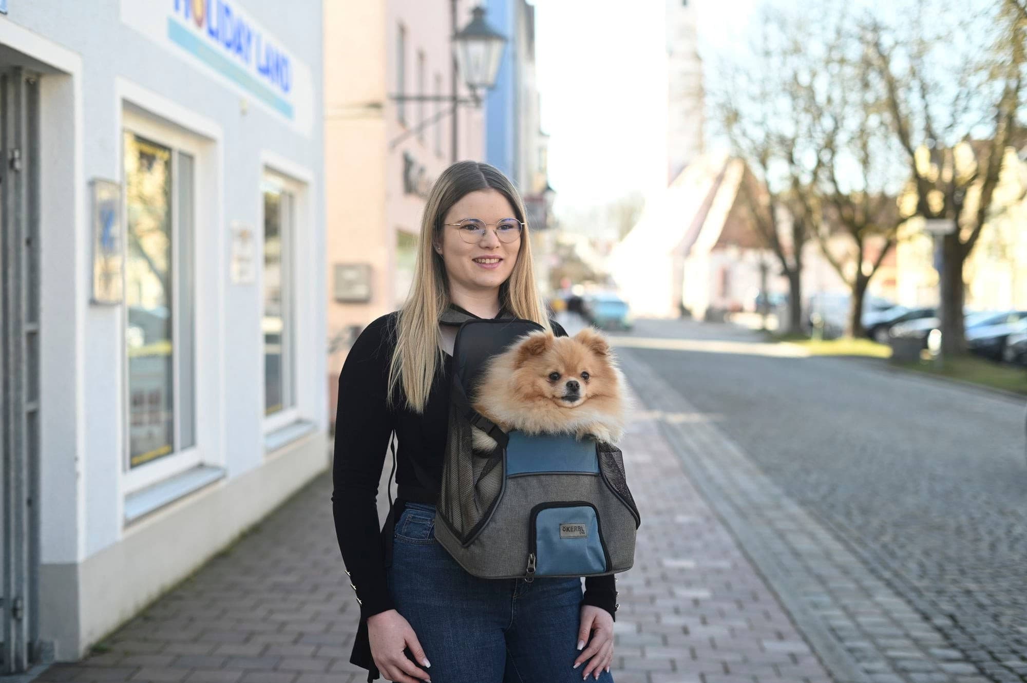 Torba podróżna dla psa Kerbl Vacation szaro-niebieska