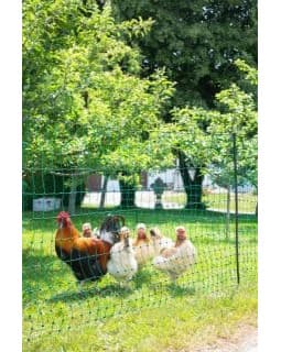 Siatka nieelektryczna dla drobiu, 25 m, zielona, Kerbl